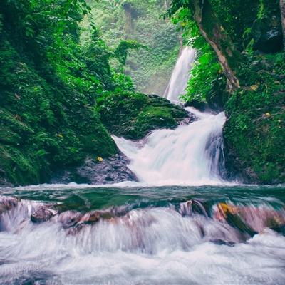 梦幻山海经手游下载