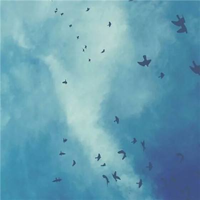 凤凰诀手游(暂未上线)v1.0.0 安卓版